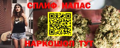сатива Будённовск